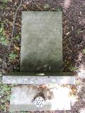 image of grave number 726032